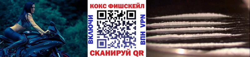 Купить закладки  Медынь  Cocaine FishScale 
