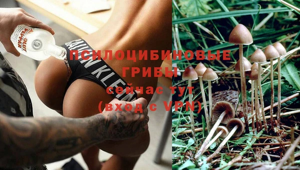 каннабис Волоколамск
